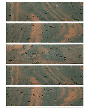 2022.5.16_10.37.7_3949