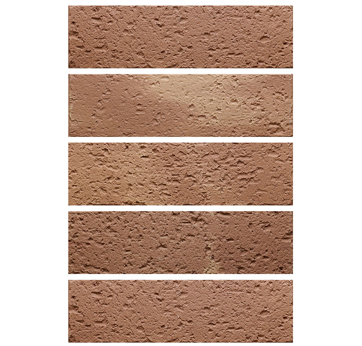 2022.5.16_11.43.16_8467