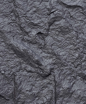 2024.10.22_14.0.51_2549