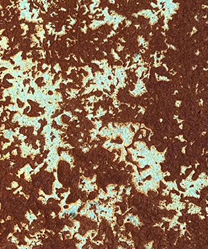 2025.1.14_14.51.36_6191