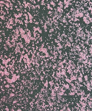 2025.1.14_14.55.54_5232